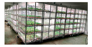 Proyectos y Galería